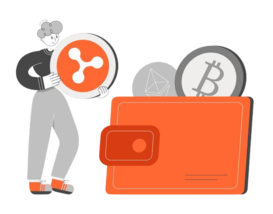 Wallet Illustration
